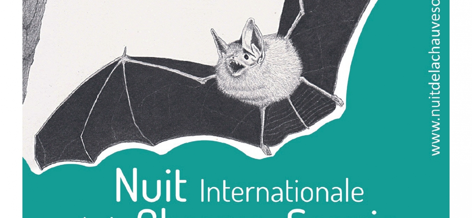 Nuit Internationale de la chauve souris
