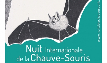 Nuit Internationale de la chauve souris