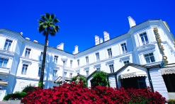 L'excelsior