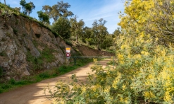 Randonnée : Sentier du mimosa - Vallon de la Gaillarde