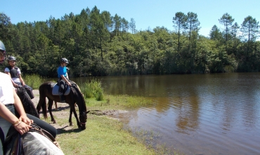 Journée détente à cheval/poney