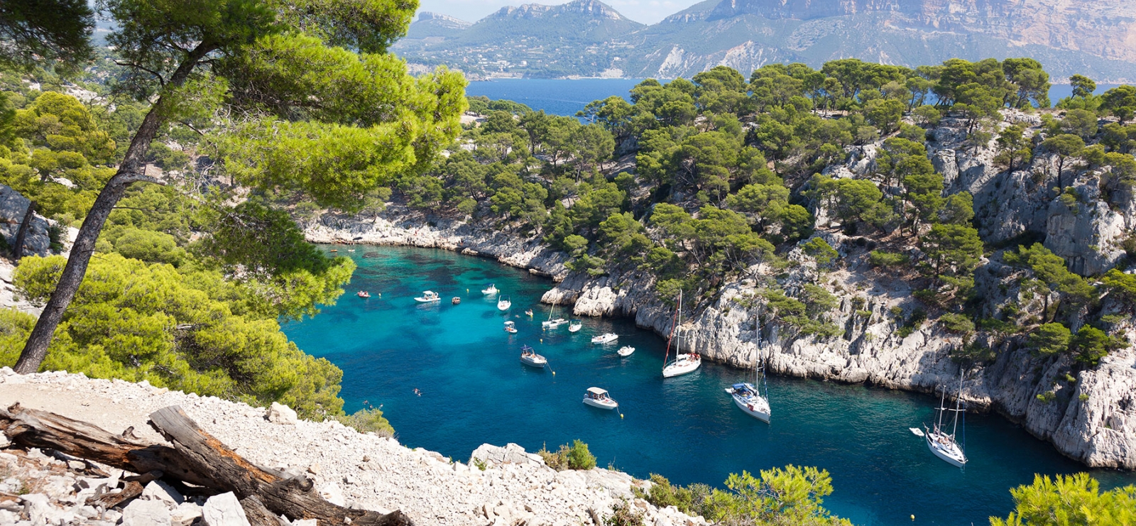 Cassis