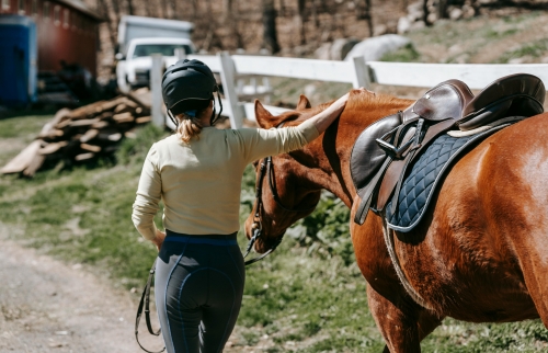 Cheval