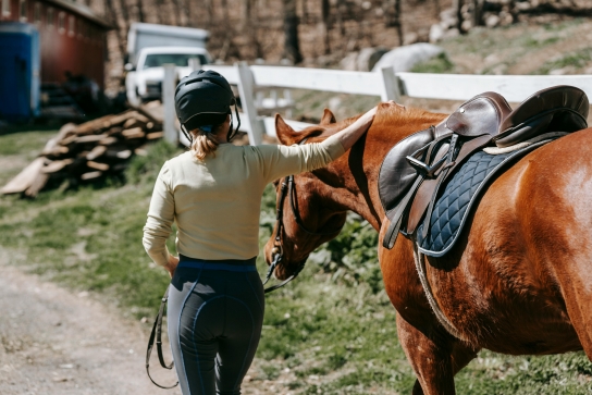 Cheval