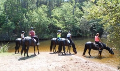 Biological reserve' discovery walk around Lake St Cassien 2h