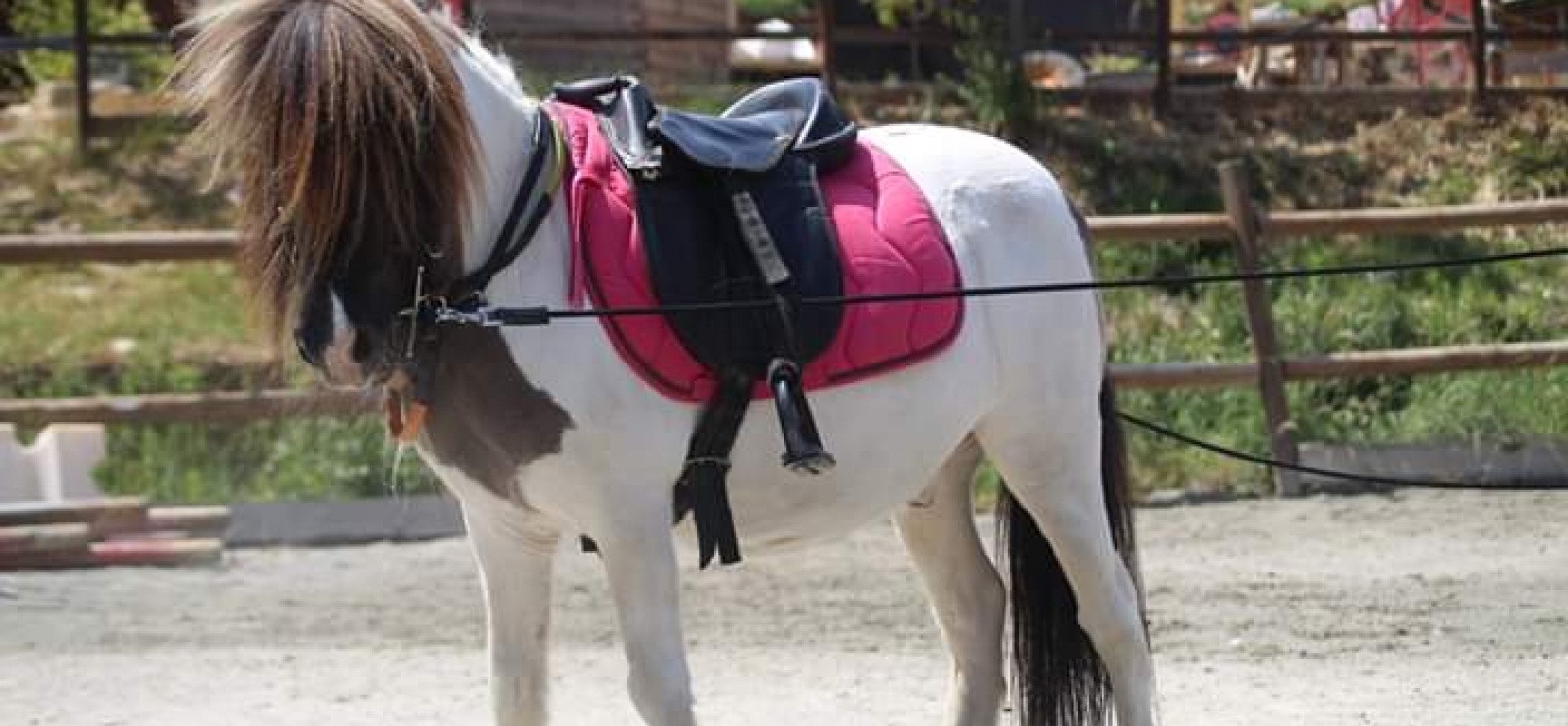 Haras des Villards : Balade à cheval 'Le Chant des Oliviers'