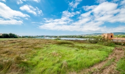 Etang de villepey, petite camargue du var