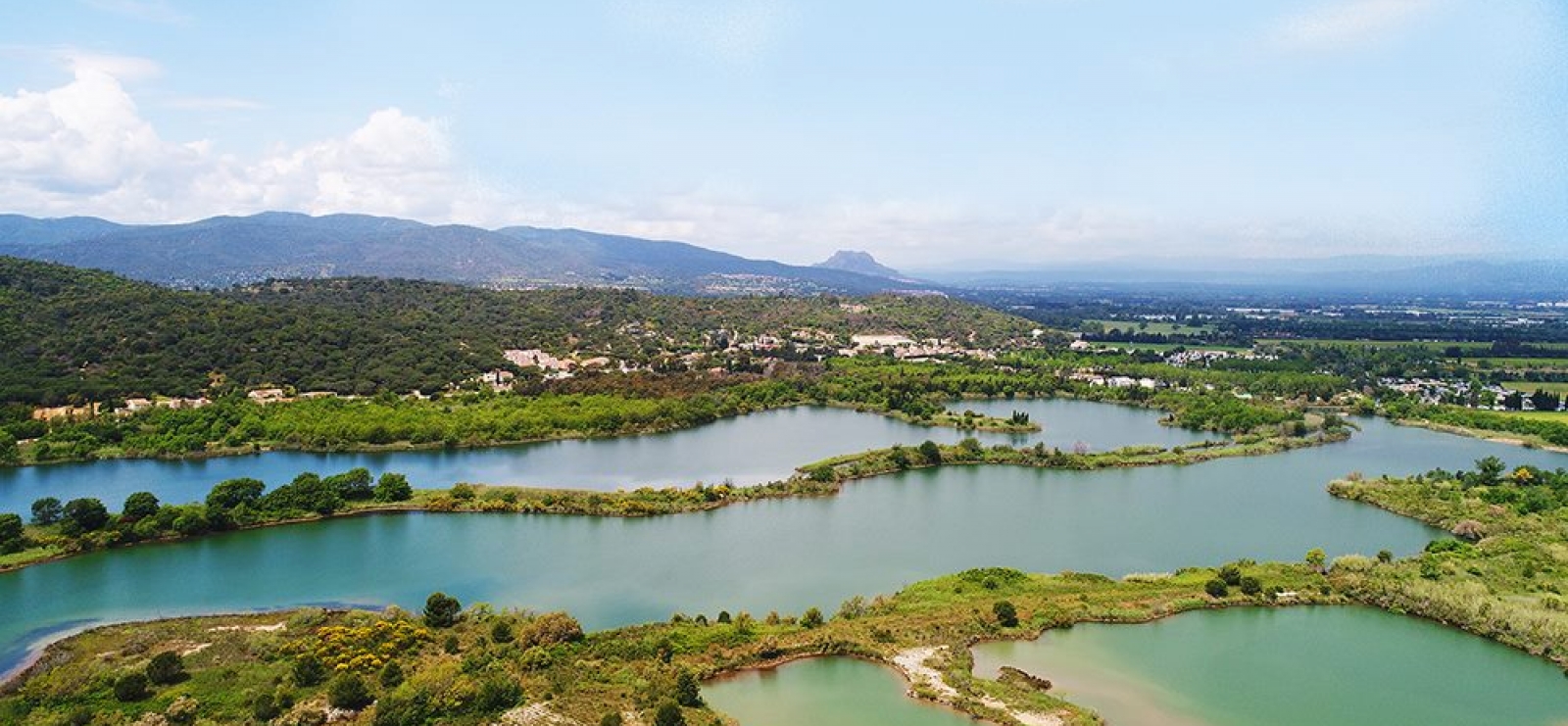 Etangs de Villepey, petite camargue du Var