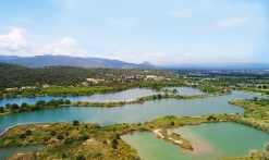 Etangs de Villepey, petite camargue du Var