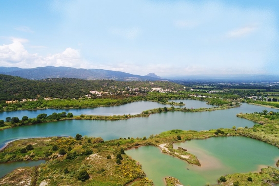 Etangs de Villepey, petite camargue du Var