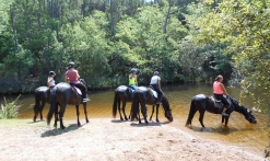 Haras des Villards: Journée détente à cheval/poney