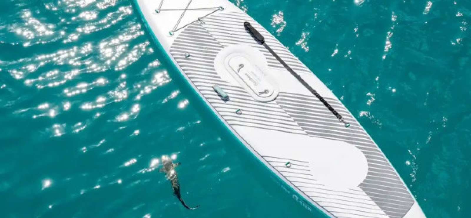 E-paddle