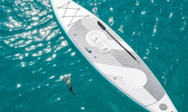 E-paddle