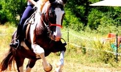 A cheval