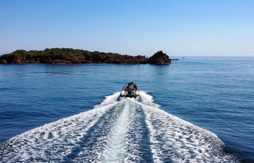 Sortie en mer Agay : Estérel et Calanques