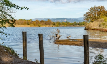 Etangs de Villepey - Fréjus - St Aygulf