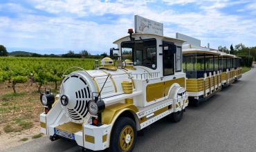 Balade en petit train au milieu des vignes à La Londe le Maures