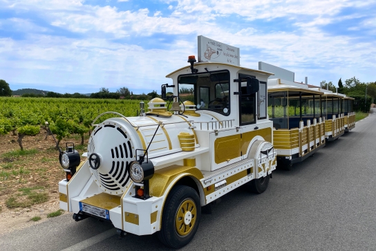 Balade en petit train au milieu des vignes à La Londe le Maures