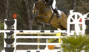 Les murettes - equitation