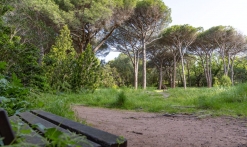 Des romains au parc aurélien_Fréjus
