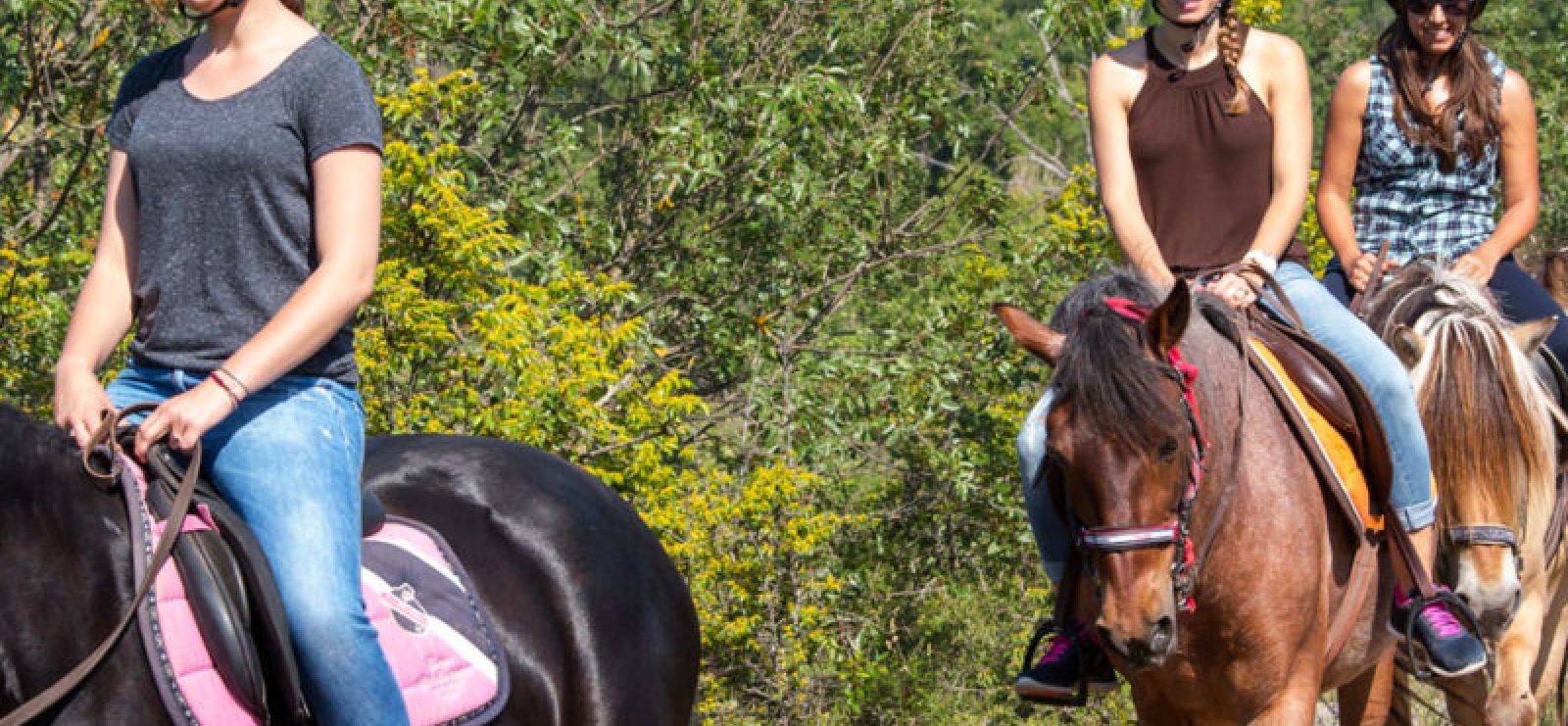 Balade a cheval ' 1/2 journée à la cool'