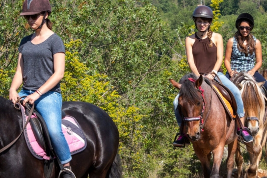 Balade a cheval ' 1/2 journée à la cool'