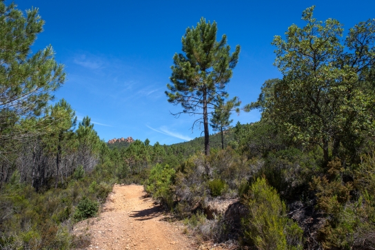 Espace nature