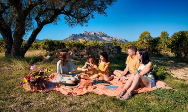 Terroir and Vineyards Rally