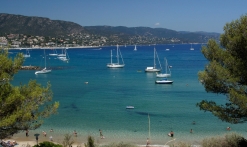 Journée Groupes Le Lavandou et Bormes Les mimosas, grain de sable et de mimosa