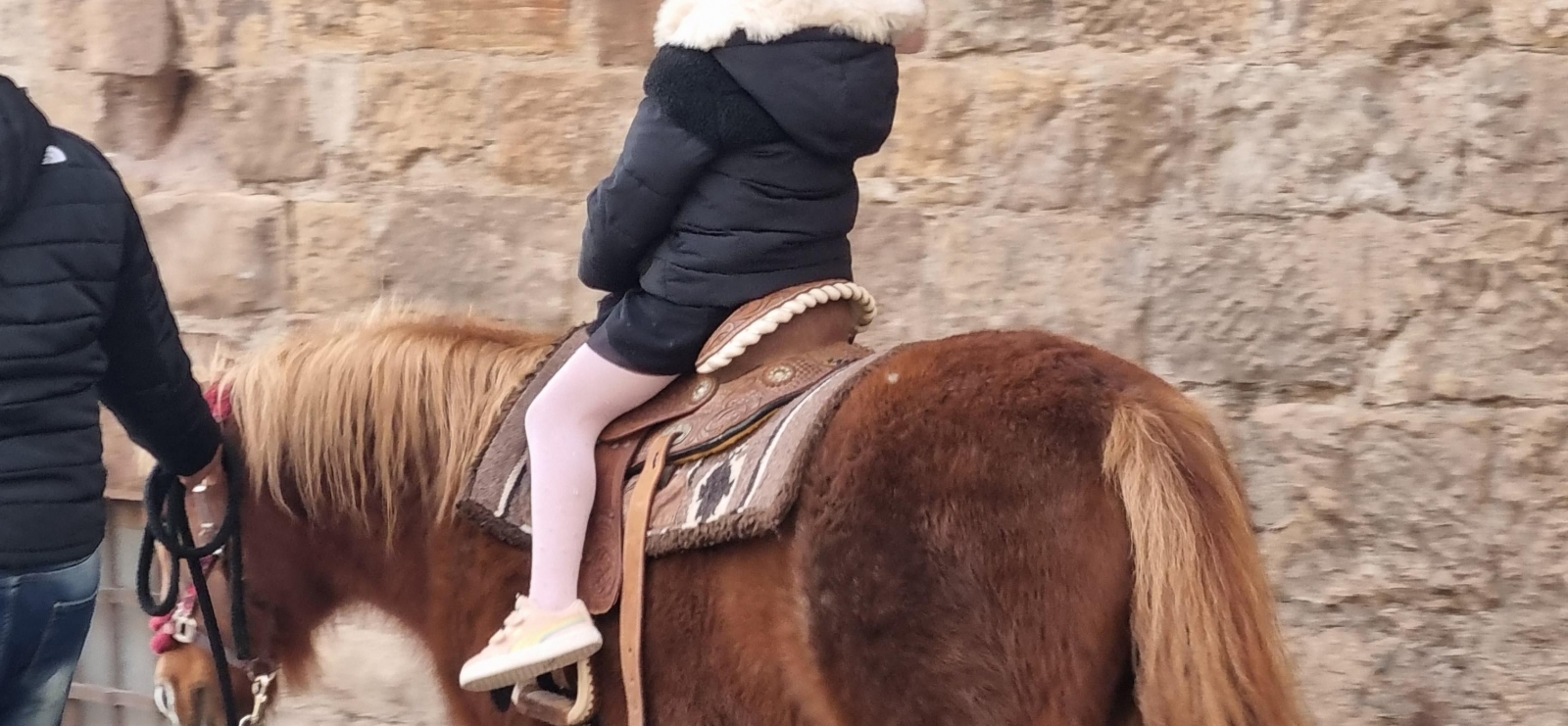 Balades à poneys