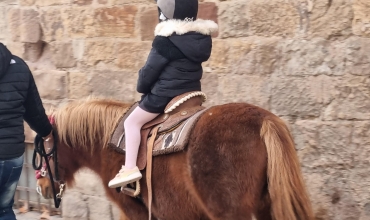 Balades à poneys