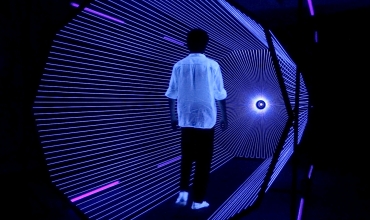 Visite guidée exposition Roots of Light