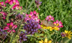 Journée Parcs et jardins