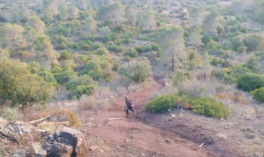 Trail des Mange-Lambert