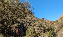 Randonnée : Panorama du Perthus Occidental