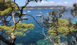 Excursions Port Cros / Porquerolles avec les Bateaux Verts au départ du Port des Issambres