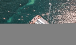 Sortie catamaran journée Iles de Lérins avec AMC Cape Grace