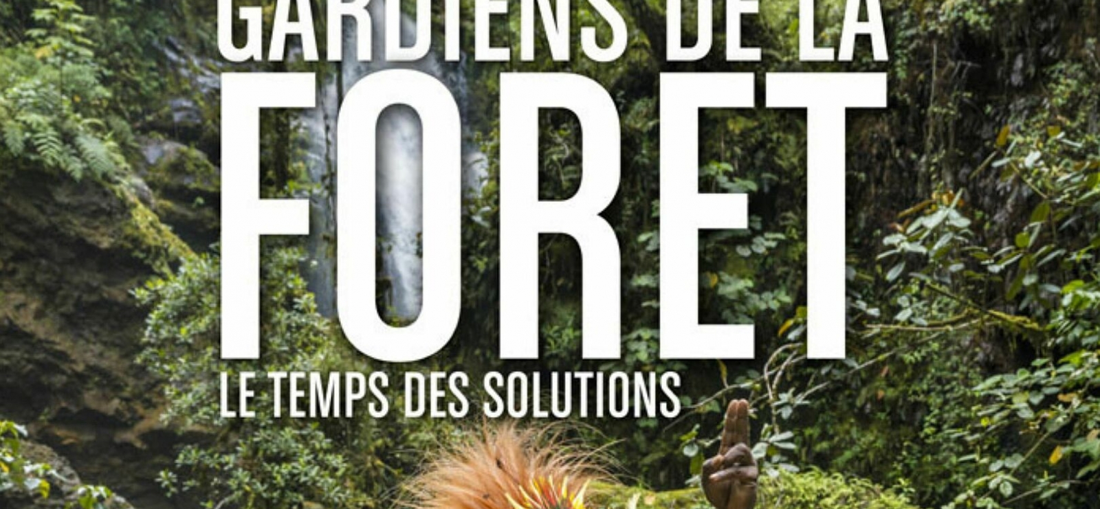 Gardiens de la forêt : le temps des solutions
