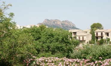 Le sentier du mimosa