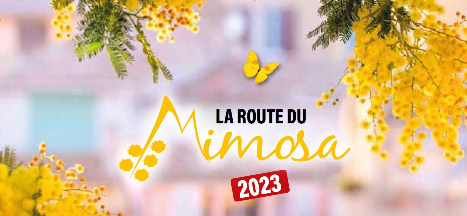 La Route du Mimosa
