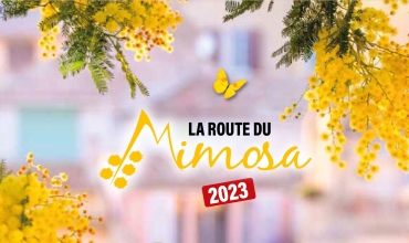 La Route du Mimosa
