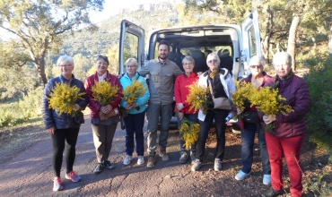 Excursion dans l'Estérel en minibus