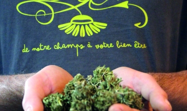 Eric logo CDR ++ flou weed