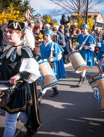 Fête du mimosa de Tanneron