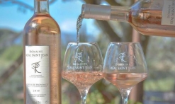 Domaine Réal Saint Jean