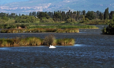 Etangs de Villepey - Fréjus - St Aygulf