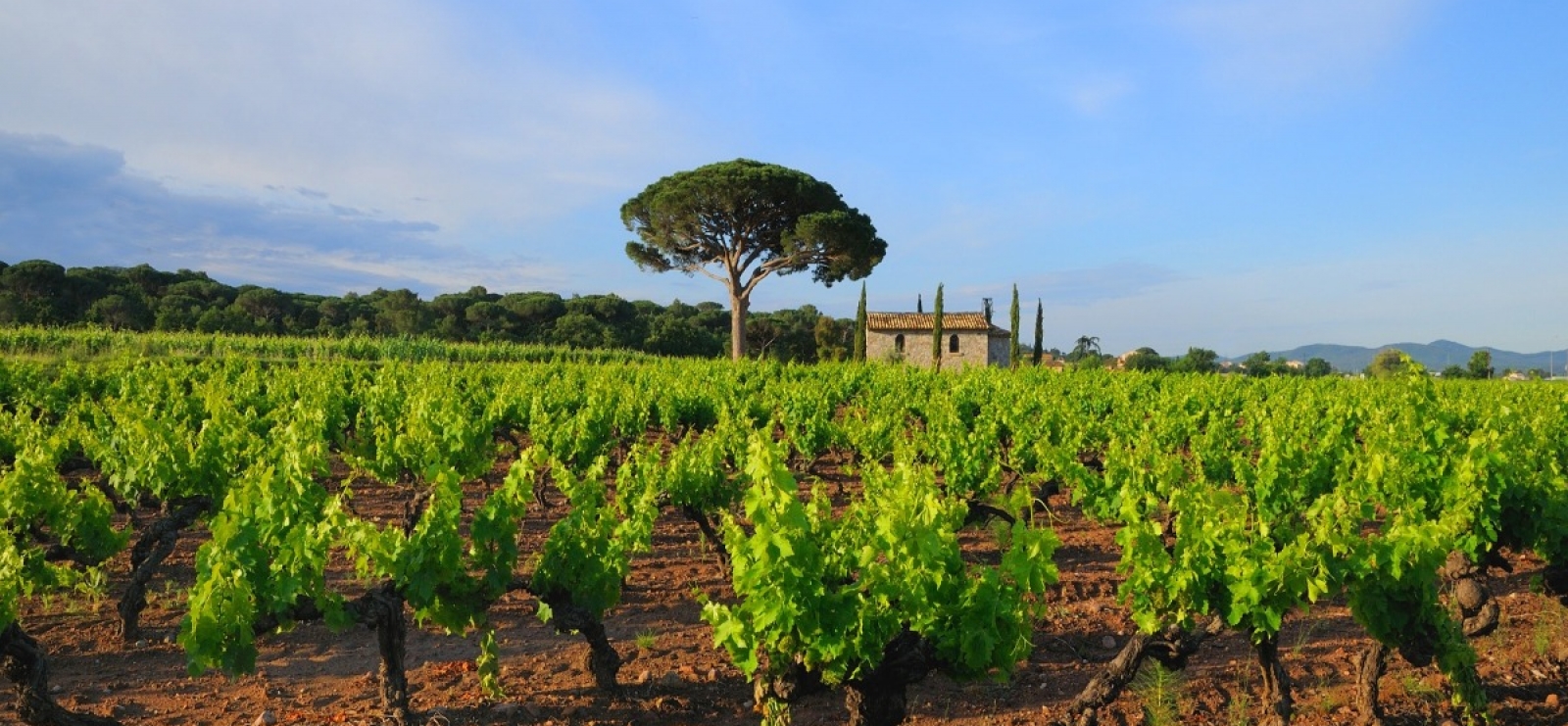 Groupe_patrimoine_vestiges_romains_vins-provence