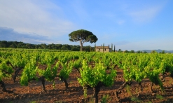 Groupe_patrimoine_vestiges_romains_vins-provence