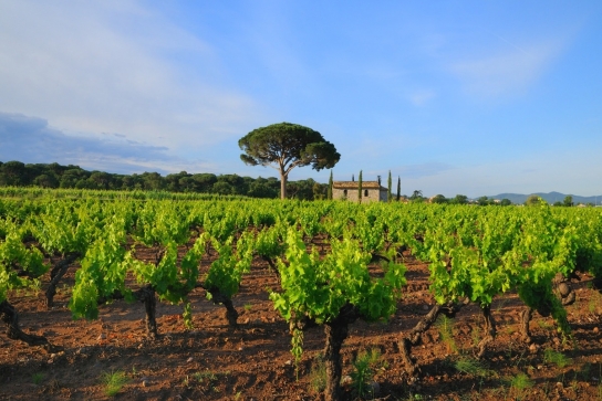 Groupe_patrimoine_vestiges_romains_vins-provence