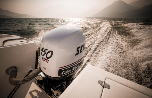 Elegance 29